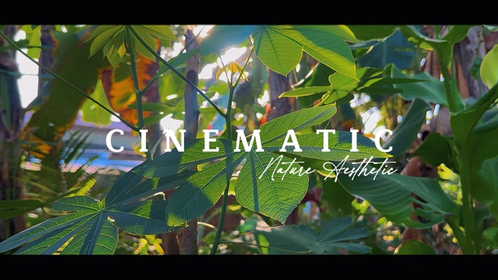 Nature cinématographique aes