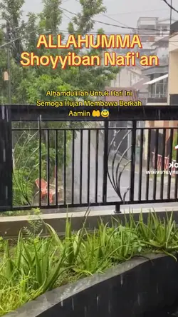 Hujan Membawa Berkah
