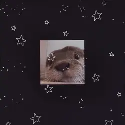 REQUESTED OTTER EDIT