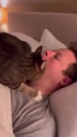 viral tik tok video
