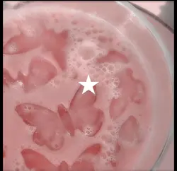 Pink core