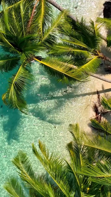 5 video traveling 