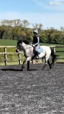 I NEED HER EQ OMG