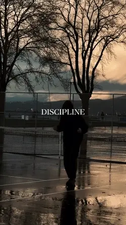 discipline gym