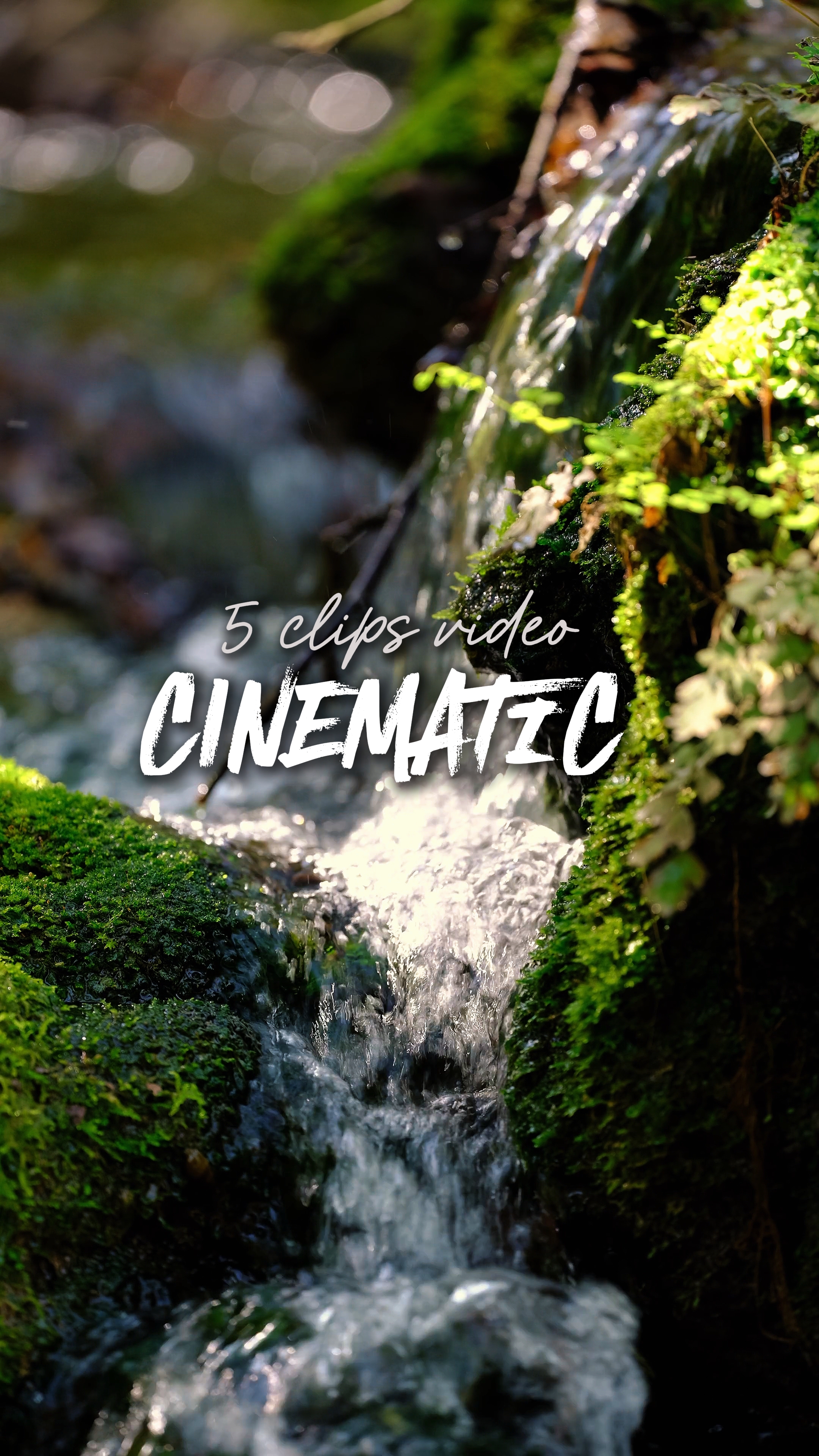 5 video Cinematic 