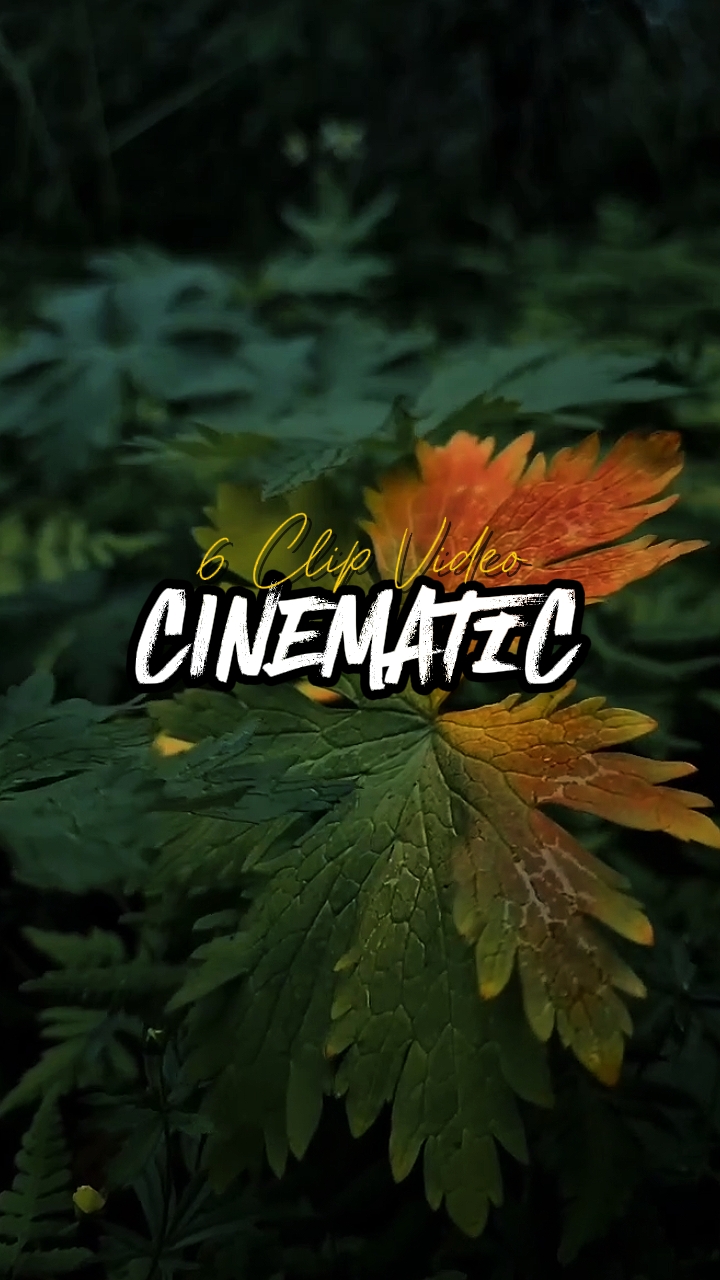 6 clip video