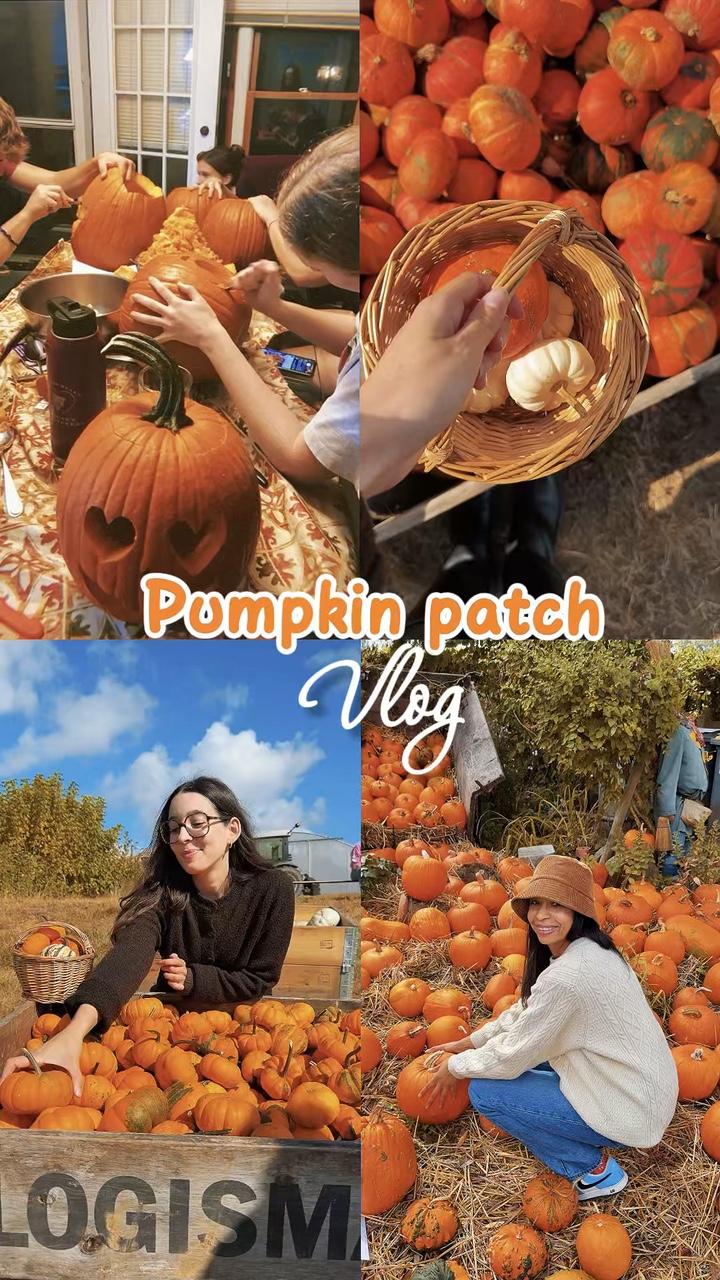 Vlog del parche de calabazas 