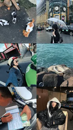 6 pics