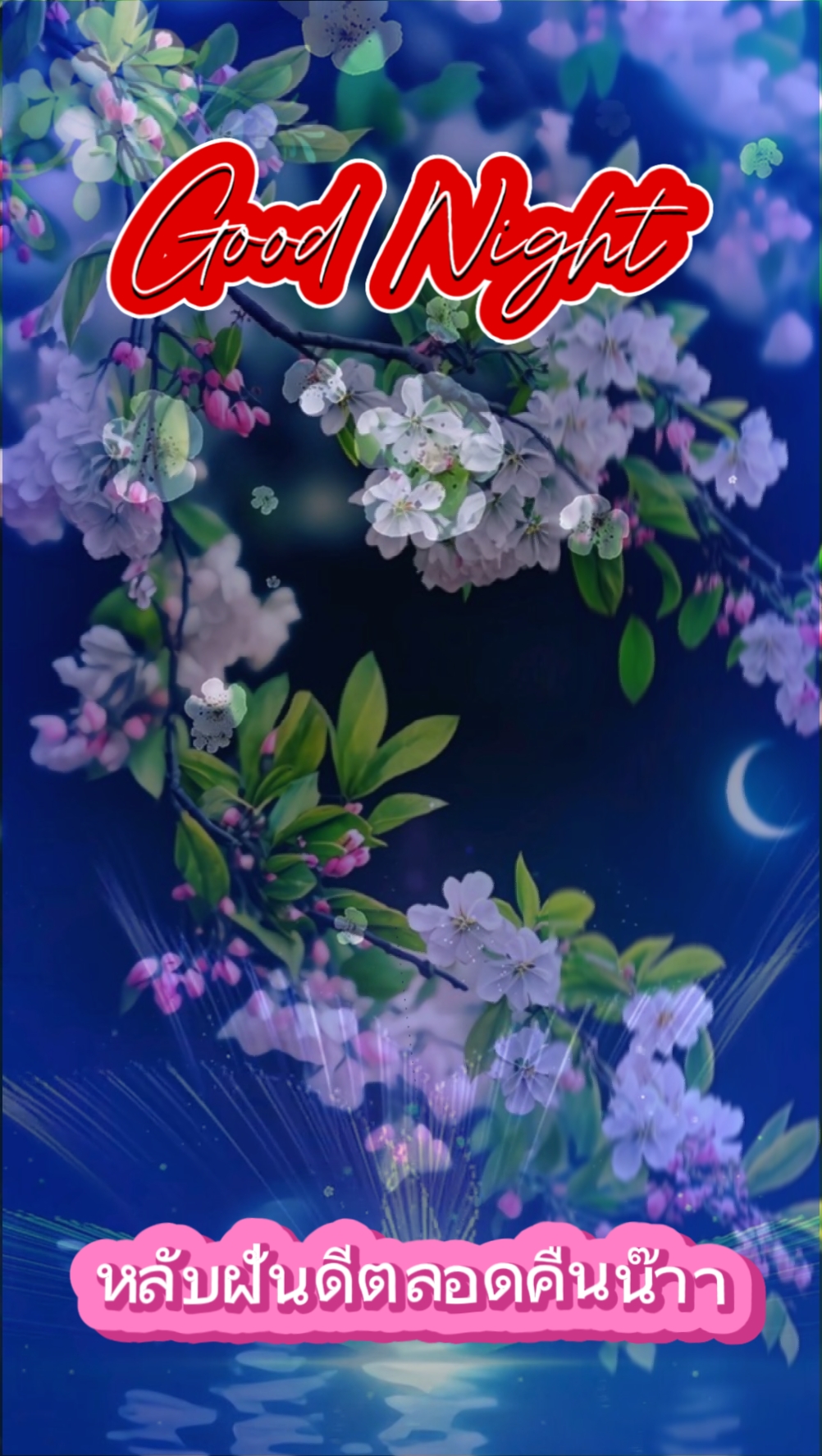 Selamat malam 
