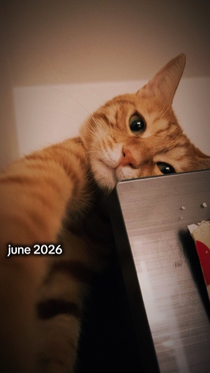 June 2026