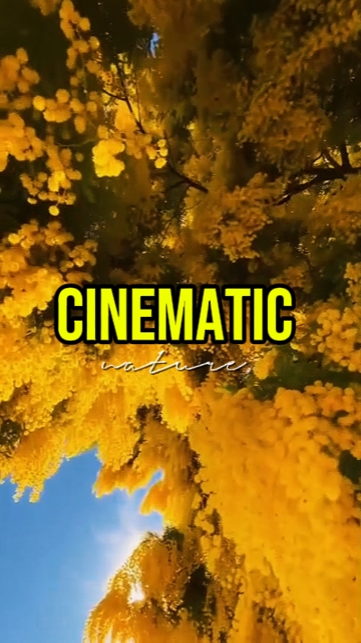 NATUREZA CINEMÁTICA 
