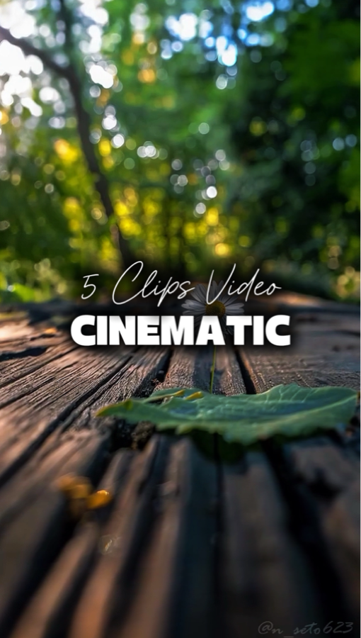 5 Videos Cinemáticos