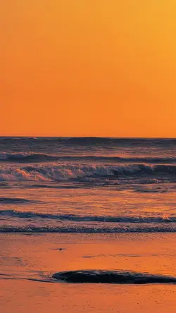 filter senja