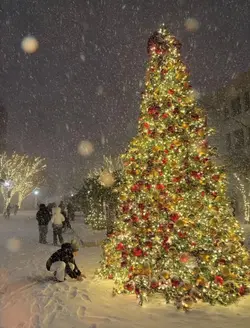 Merry Christmas