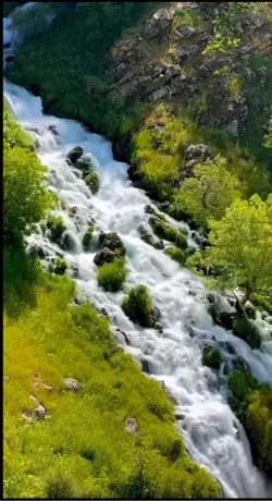 Kurdistan edit