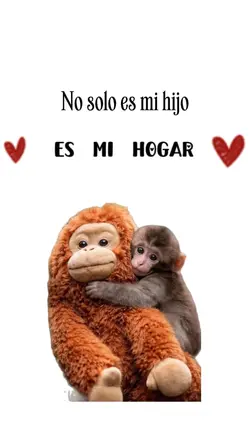 Mi curita 