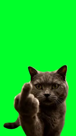 Middle finger cat