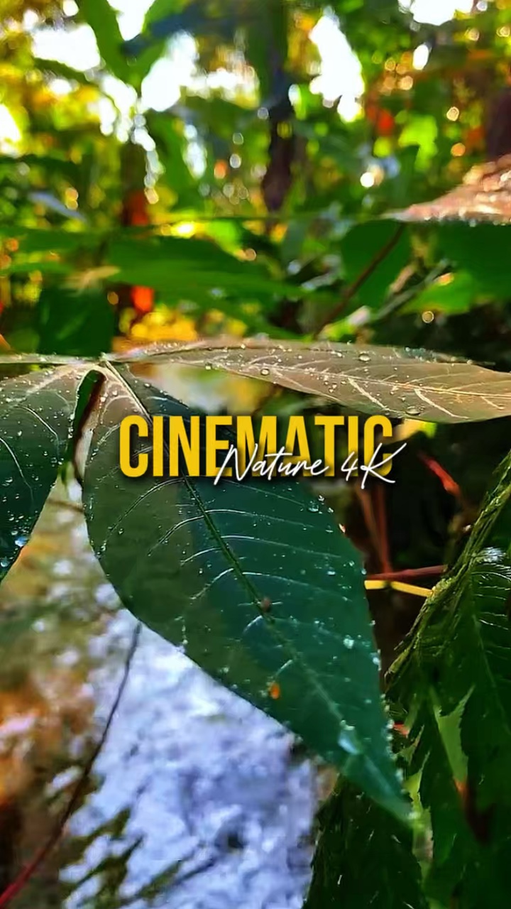 Cinematic Nature 4K