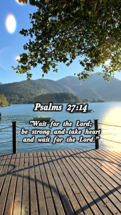 plasms 27:14