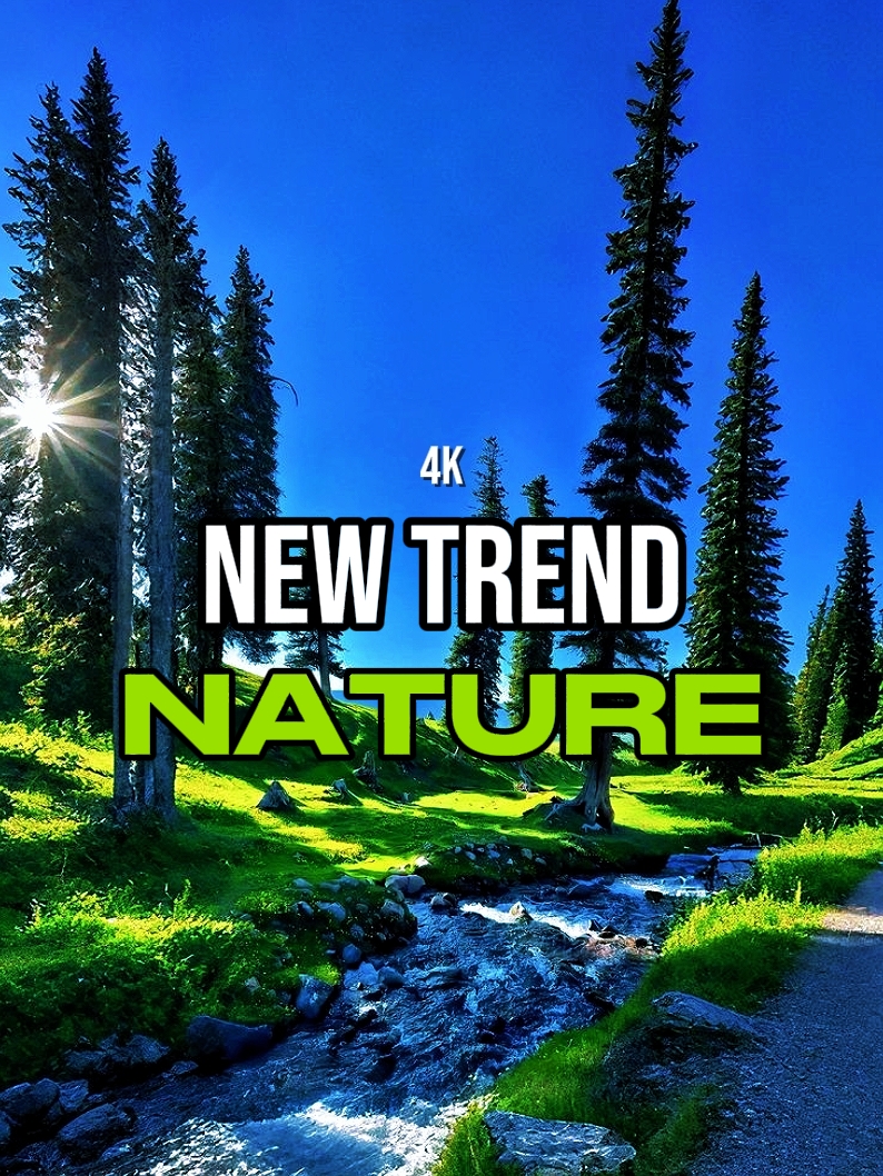 Tendencia 144p vs 4k