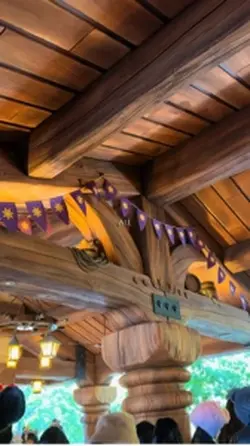 Rapunzel's