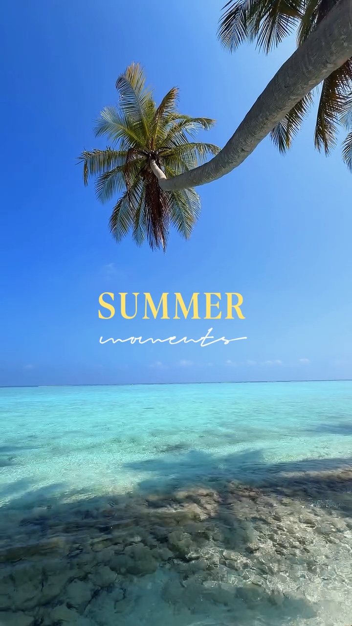Momentos de verão 