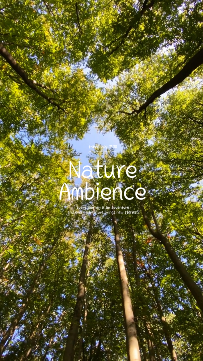 Vibrações Da Natureza