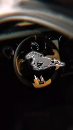 MUSTANG