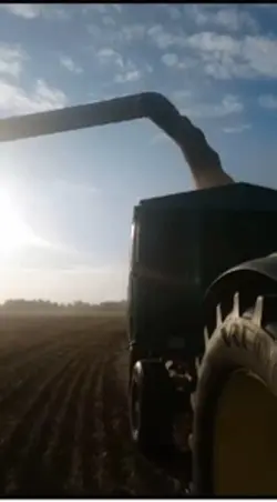 born in this: 🌾🚜