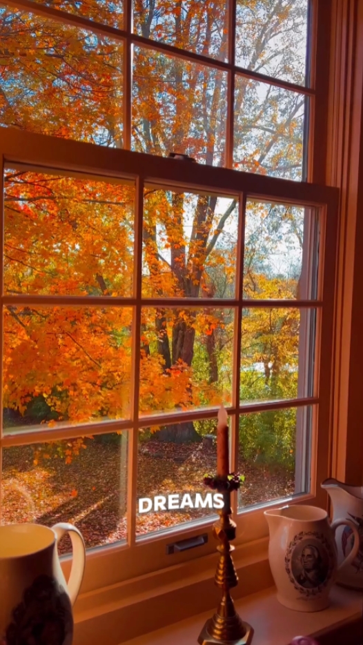 Autumn Vibes