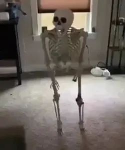 skeleton meme.