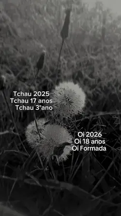 Tchau 2025