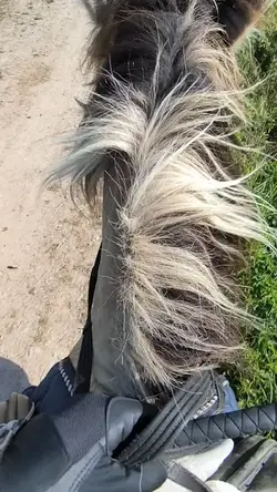 Fetzeeeeen 