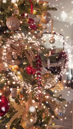 Christmas is coming 