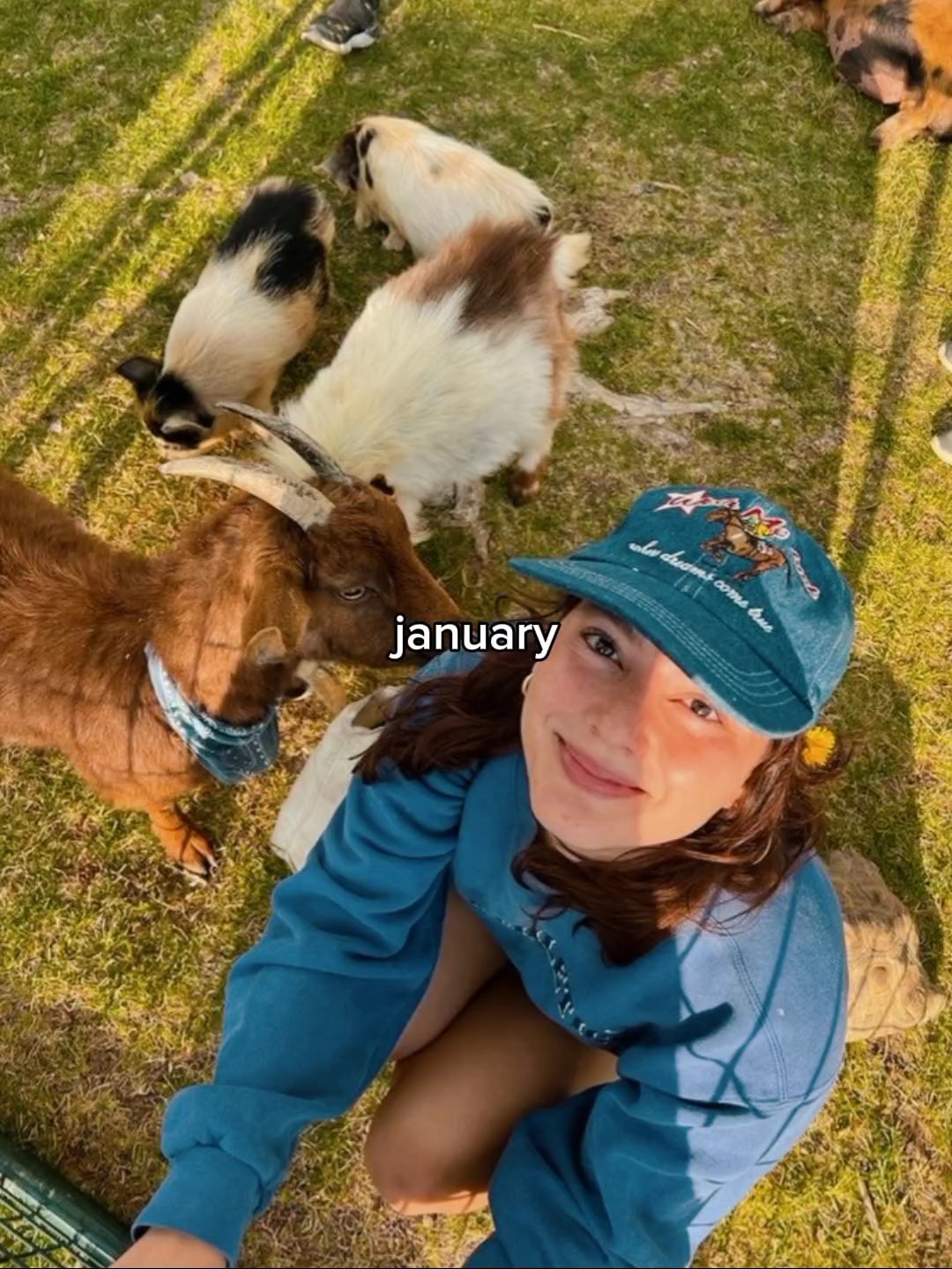 january - december