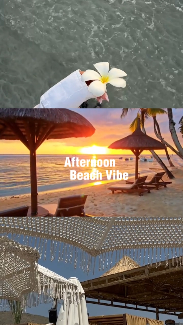 Vibra de playa 