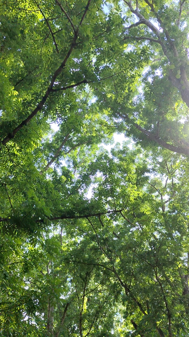 Deep Breath