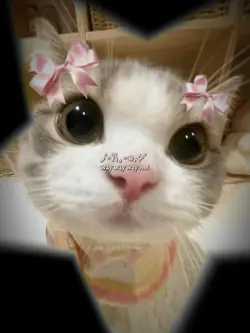 linhganggu guli woca