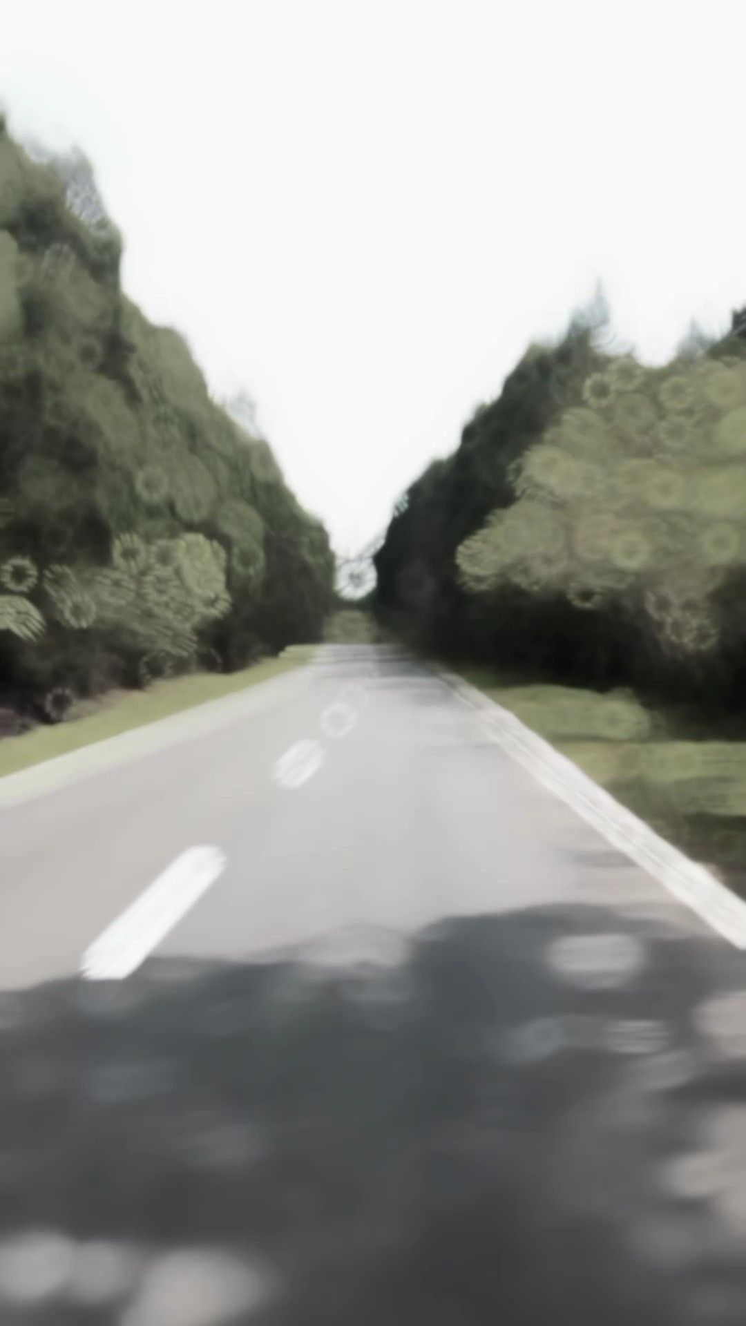 Travel Slow Template