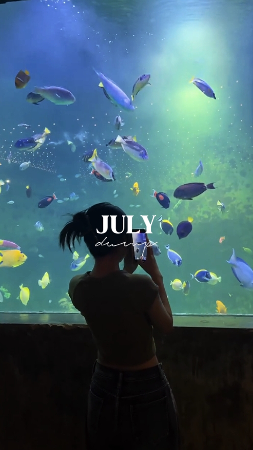 July dump 2025
