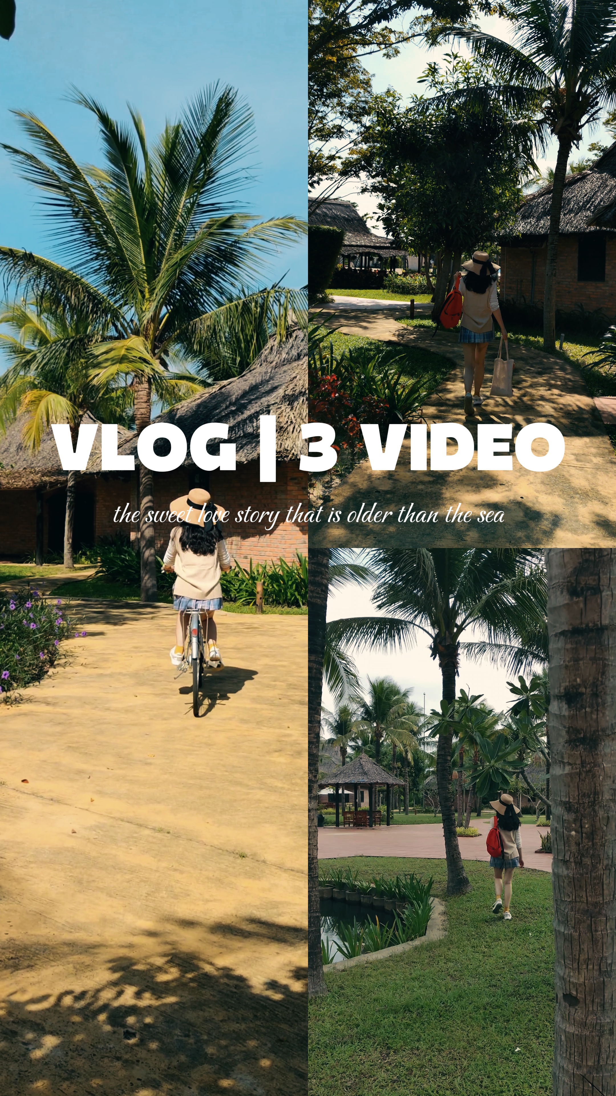 VLOG? 3 VIDEO