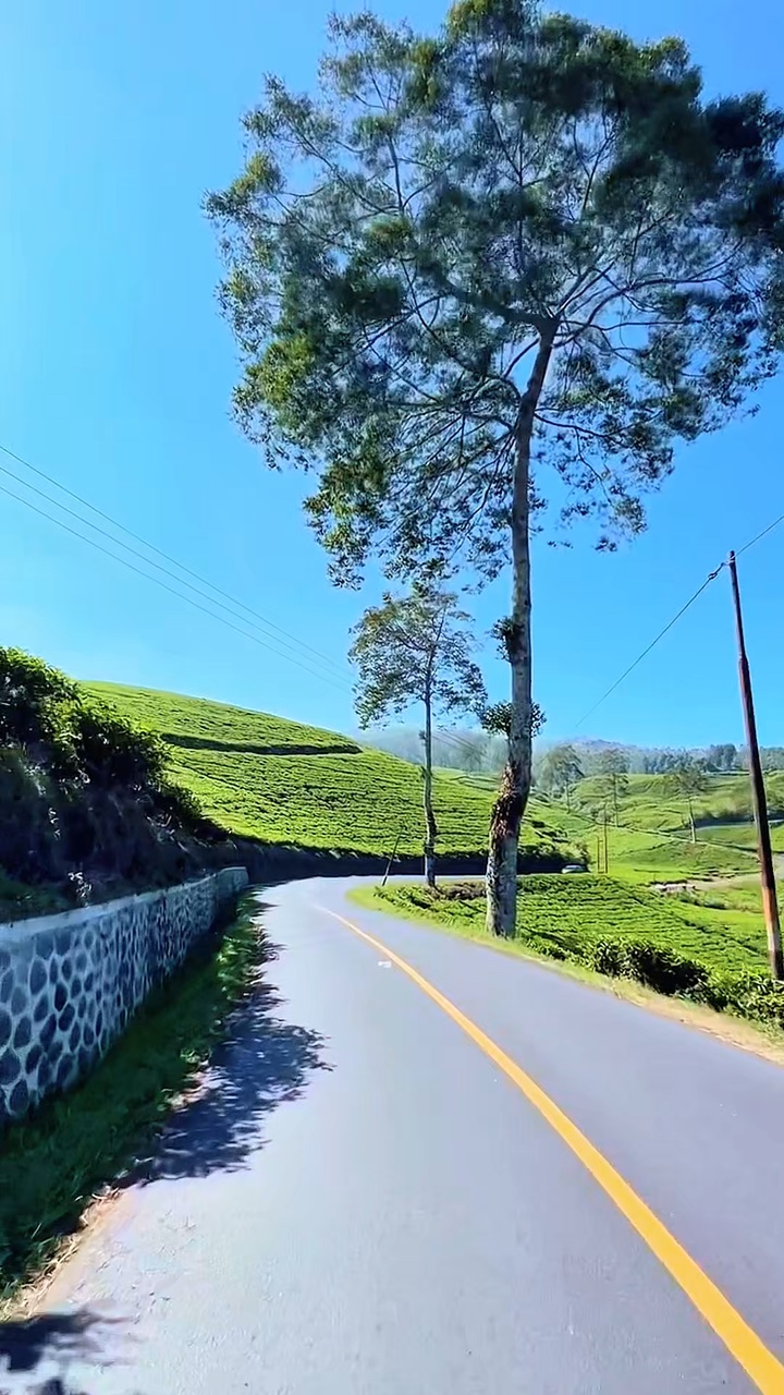 roadtrip moments