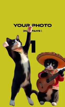 Tiktok Video