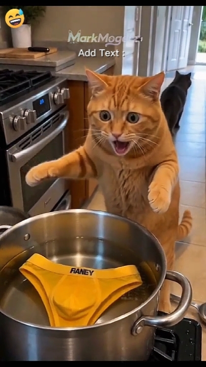 Pranking a friend 
