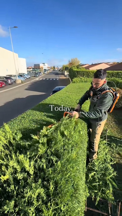 Jardinería