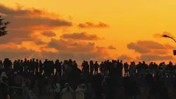 Senja