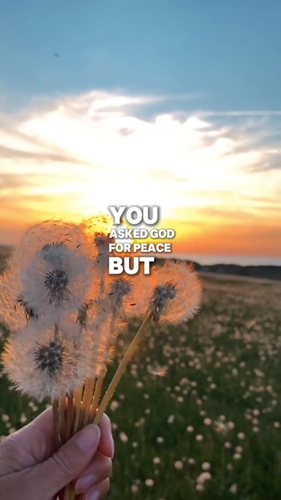You aske