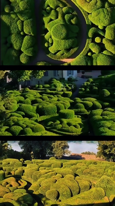 Gardening