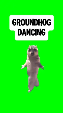 GROUNDHOG DANCING