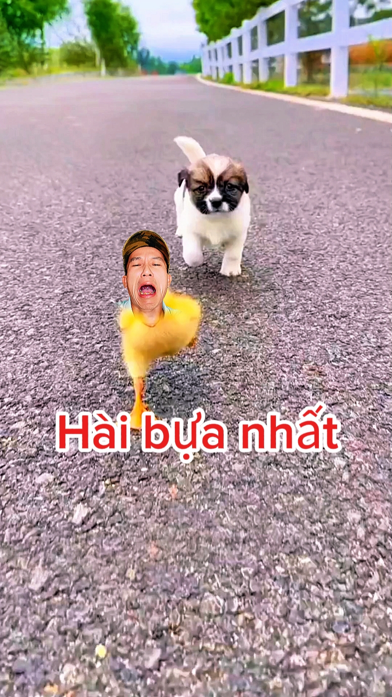 ghép hài bsebuah 